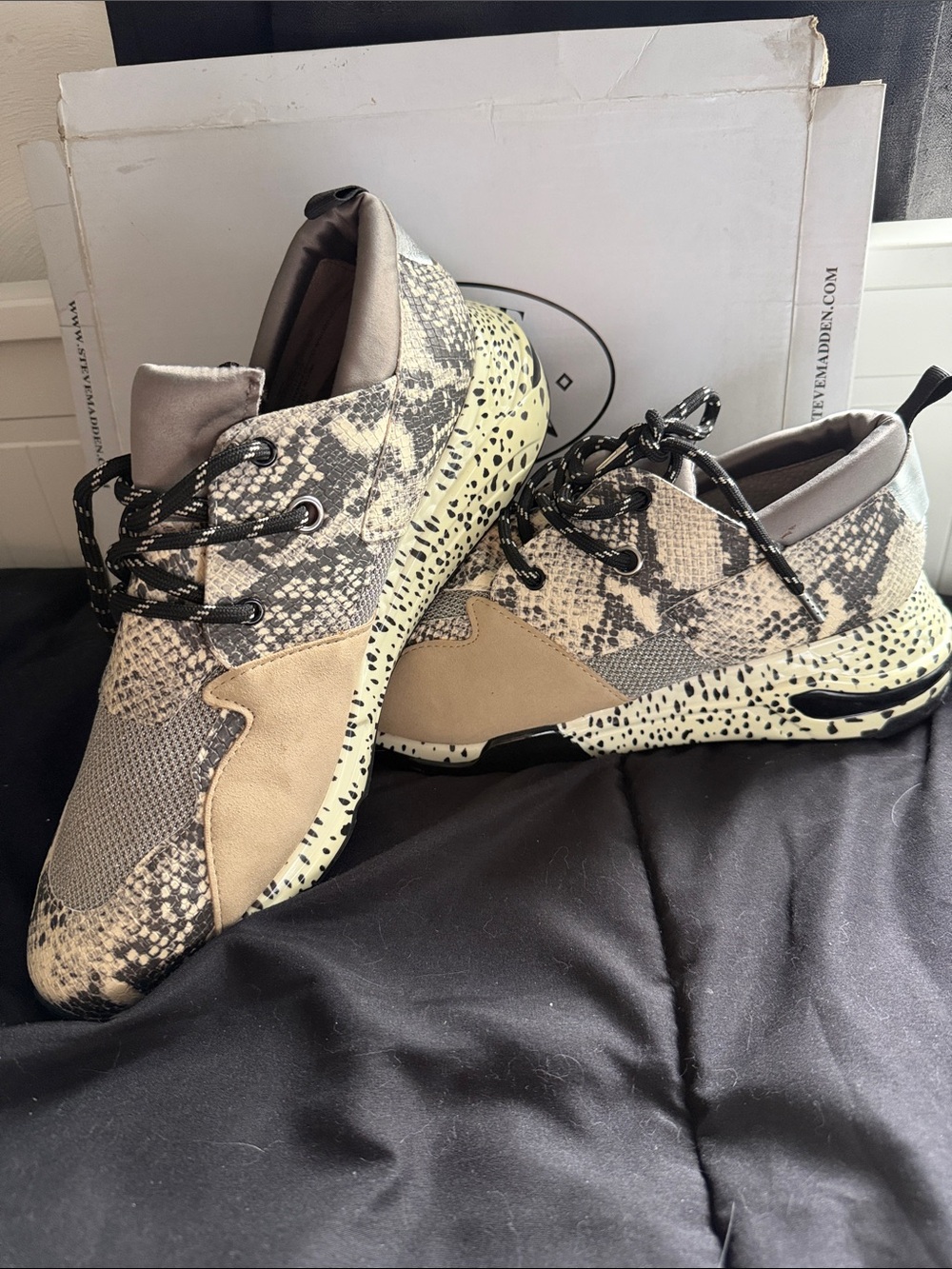 Steve Madden Sneakers